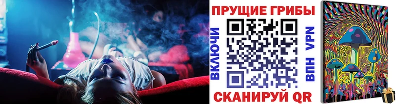 hydra сайт  продажа наркотиков  Наволоки  Галлюциногенные грибы MAGIC MUSHROOMS 